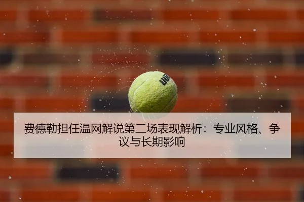 fei-de-lei-dan-ren-wen-wang-jie-shuo-di-er-chang-biao-xian-jie-xi-zhuan-ye-feng-ge-zheng-yi-yu-chang-qi-ying-xiang-2-173.jpg